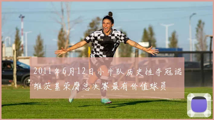 2011年6月12日小牛队历史性夺冠诺维茨基荣膺总决赛最有价值球员