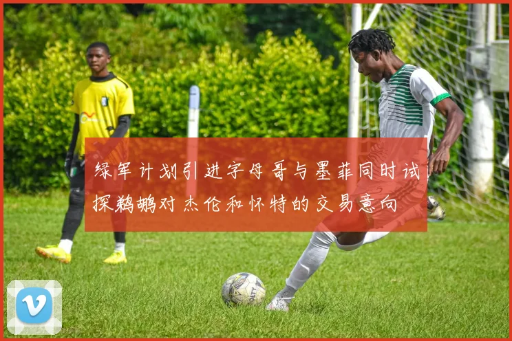 绿军计划引进字母哥与墨菲同时试探鹈鹕对杰伦和怀特的交易意向
